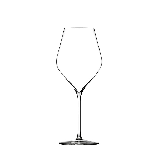 Rødvinsglass / Hvitvinsglass (6 stk) - Absolus Collection