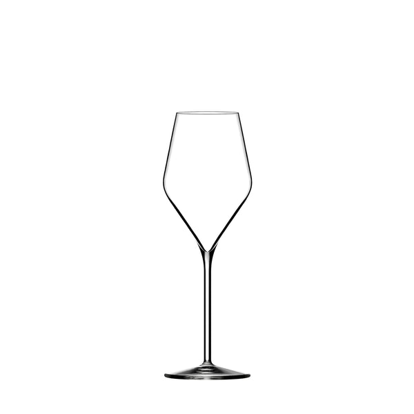 Champagneglass (6 stk) - Absolus Collection