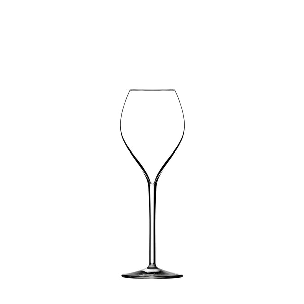 Champagneglass - Premium (6 stk) - P. Jamesse Collection